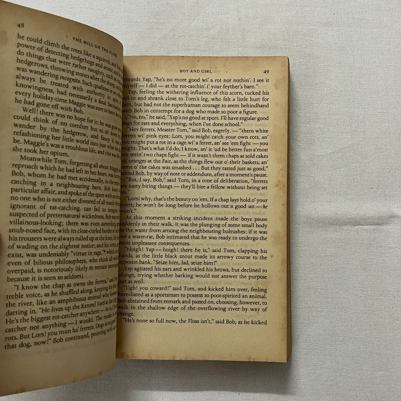 The Mill on the Floss - George Eliot 935175