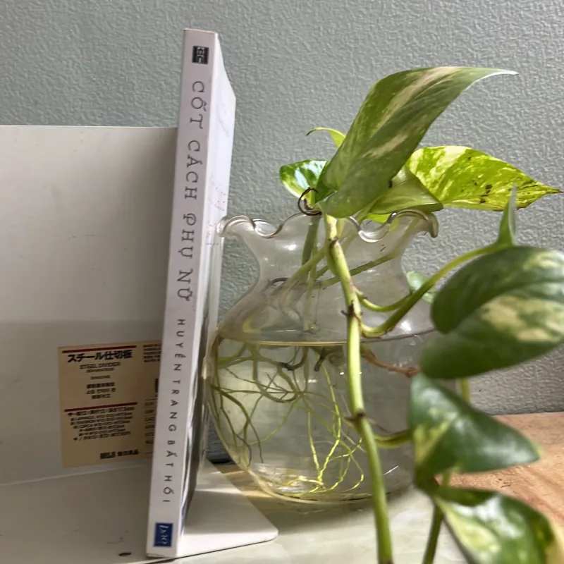 Cốt cách phụ nữ 752132