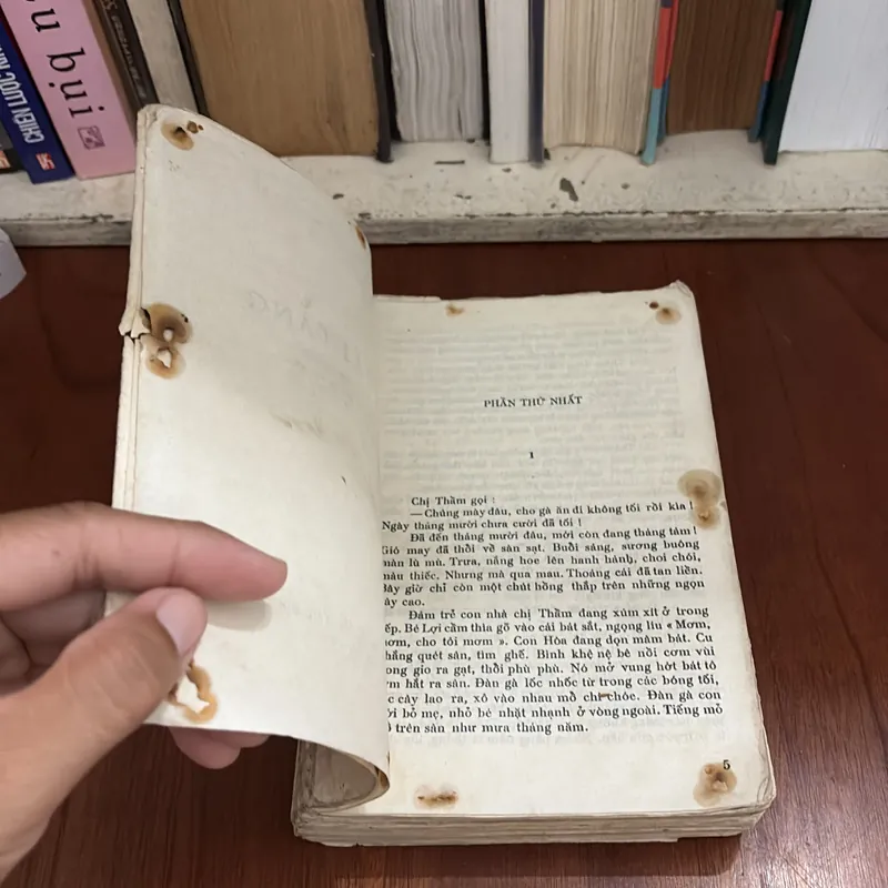 II Tiểu Thuyết: Đất Làng - Nguyễn Thị Ngọc Tú - 1978 593287