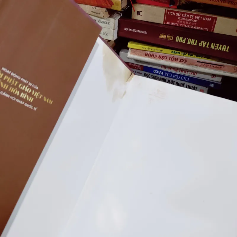 Hoạt động phận sự của giáo hội phật giáo VN tỉnh hoà bình 673723