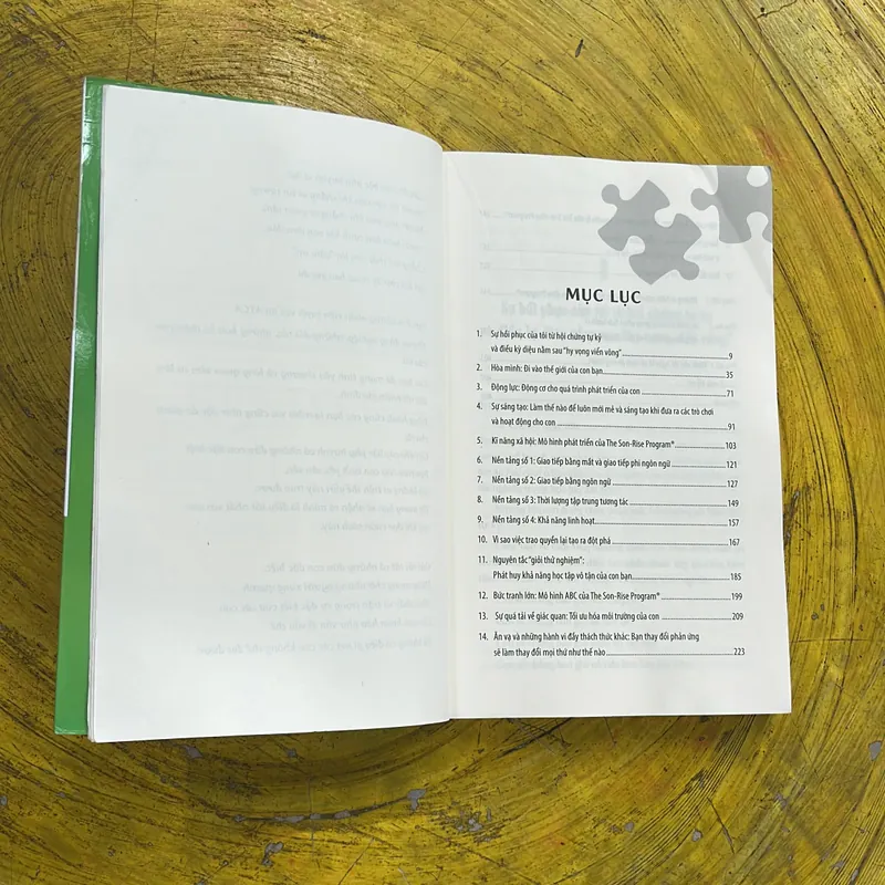 VƯỢT QUA CHỨNG TỰ KỶ VỚI THE SON - RISE PROGRAM- RAUN K. KAUFMAN 604726