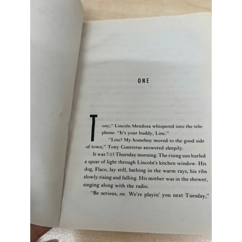 Taking sides - Gary soto 753374