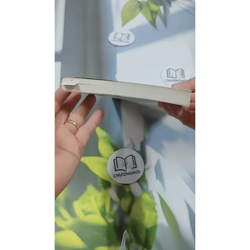 Này Những Phong Hoa Tuyết Nguyệt - Công Tử Hoan Hỉ 744702