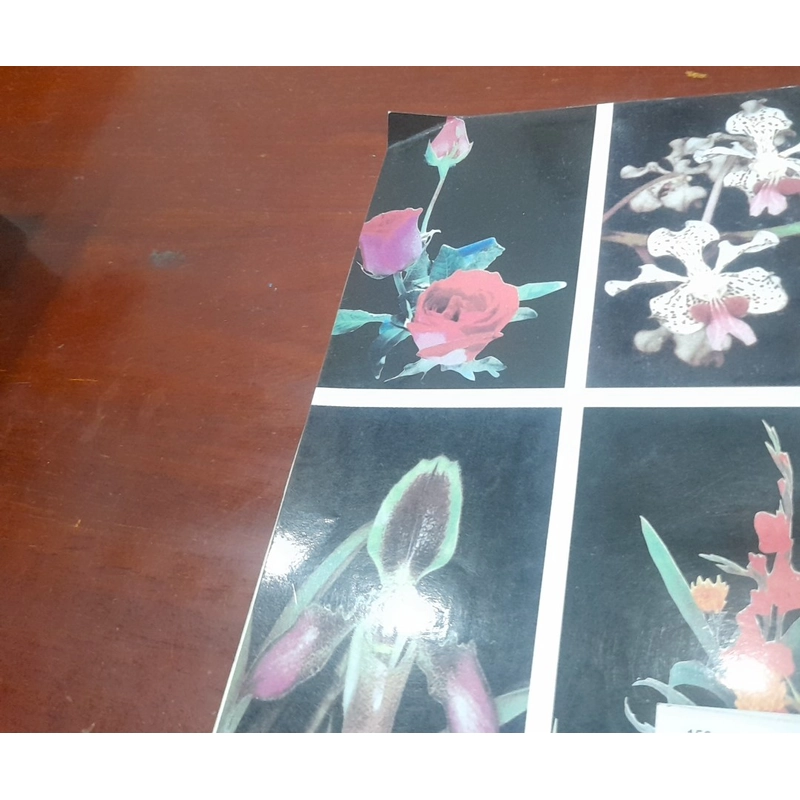 Pgs. Ts. Nguyễn Xuân Linh - KỸ THUẬT TRỒNG HOA 548299