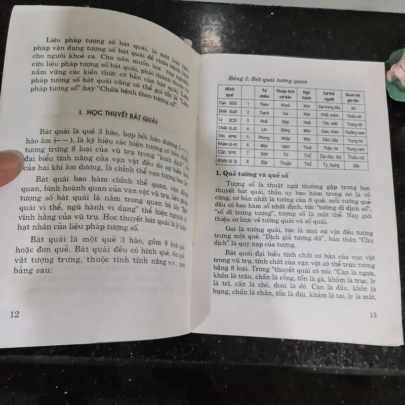 Sách Chữa Bệnh Theo Chu Dịch 532081