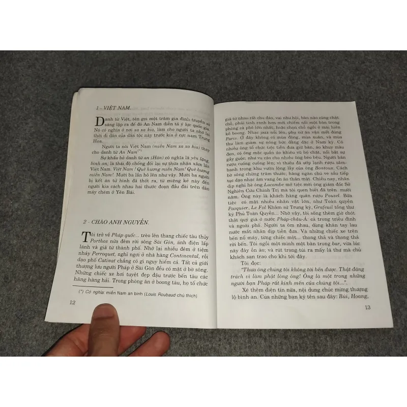 VIỆT NAM BI THẢM ĐÔNG DƯƠNG 698959