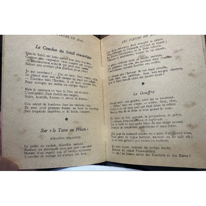 Les Fleurs Du Mal - Charles Baudelaire 604221