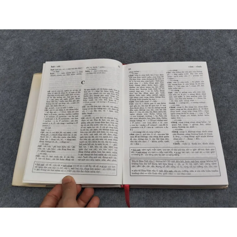 TỪ ĐIỂN CHÍNH TẢ - HOÀNG PHÊ 957502