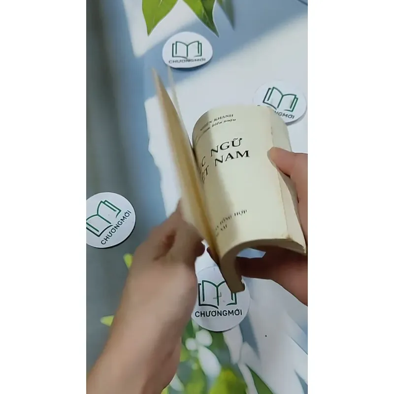 Tục Ngữ Việt Nam 703146