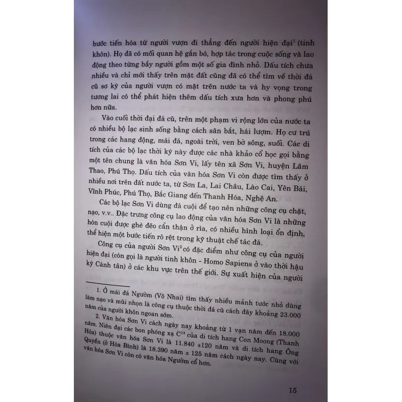 Lịch sử Việt Nam giản yếu 745695