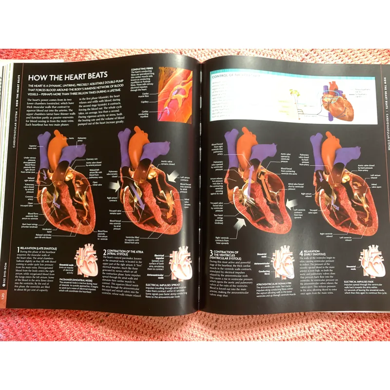 The Human Body Book: An Illustrated Guide to Its Structure, Function and Disorders. 646342