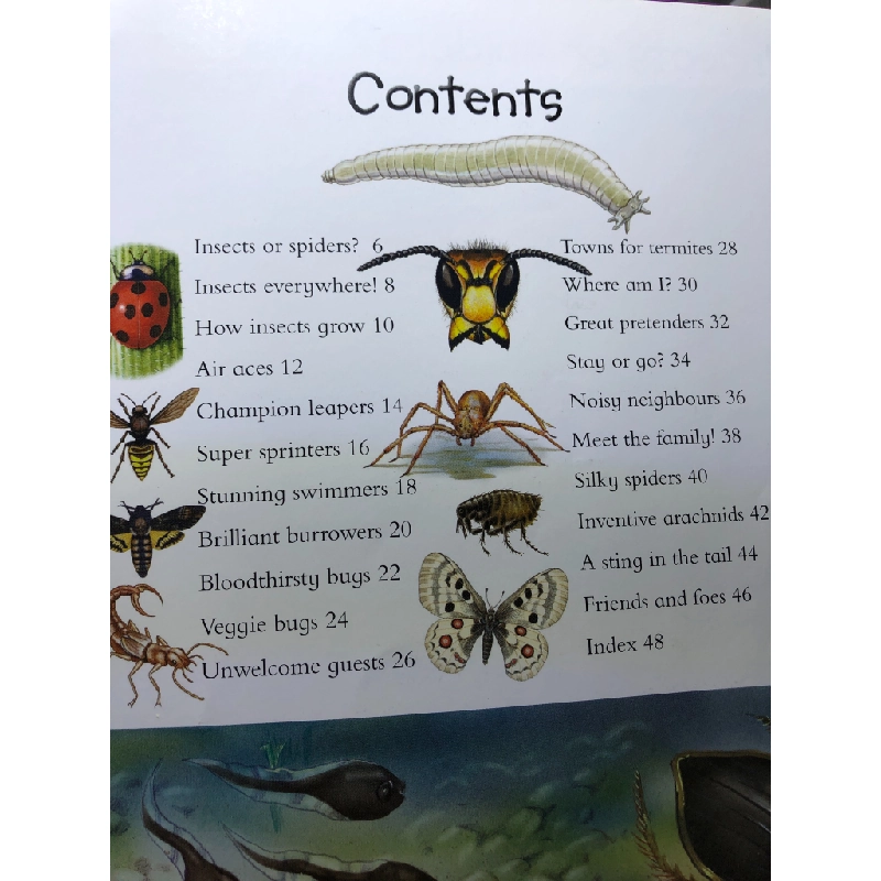 100 things you should know about Insects and Spiders mới 80% cong bìa nhẹ Miles Kelly HPB2607 NGOẠI VĂN 191300