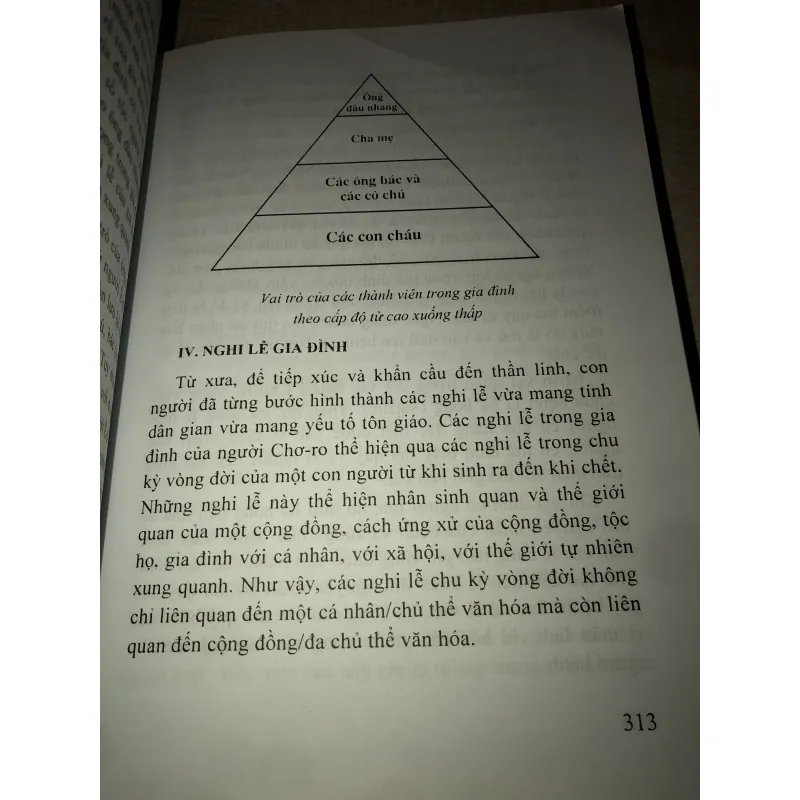 Hôn nhân và gia đình các dân tộc thiểu số ở việt nam  994836