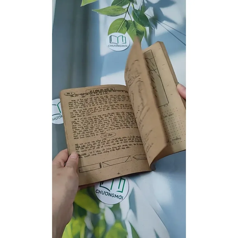 Những Truyện Tích Đầu Tiên Trong Kinh Thánh - Hội Thánh Tin Lành 775990