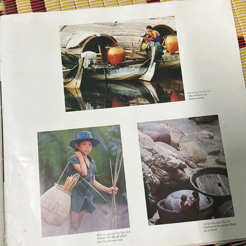 Đào hoa nữ Việt Nam quê hương tôi 726936