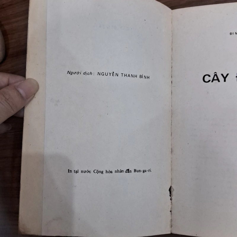 Cây đèn sắt 506762