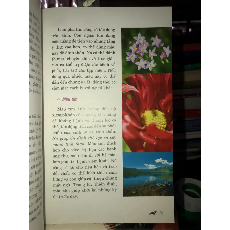 Chữa bệnh bằng màu sắc - Ted Andrews 781079