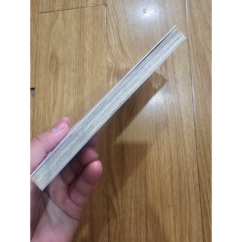 cuộc phiêu lưu của crocket tập 2 455034