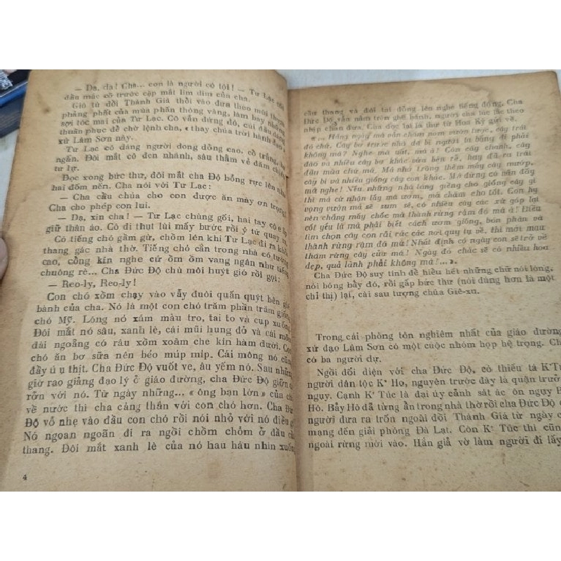 Cơn lốc rừng thông - Trần Hữu Tòng 931281