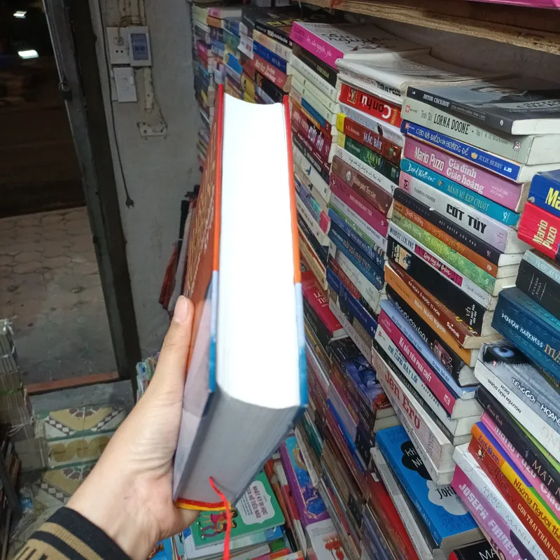 Người Lữ Hành Kỳ Dị- Harold Robbins 702792