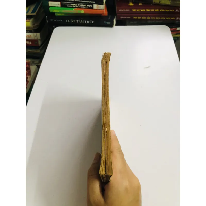 LUẬN TRIẾT HỌC (Tập 1) – LUẬN LÝ HỌC 752790