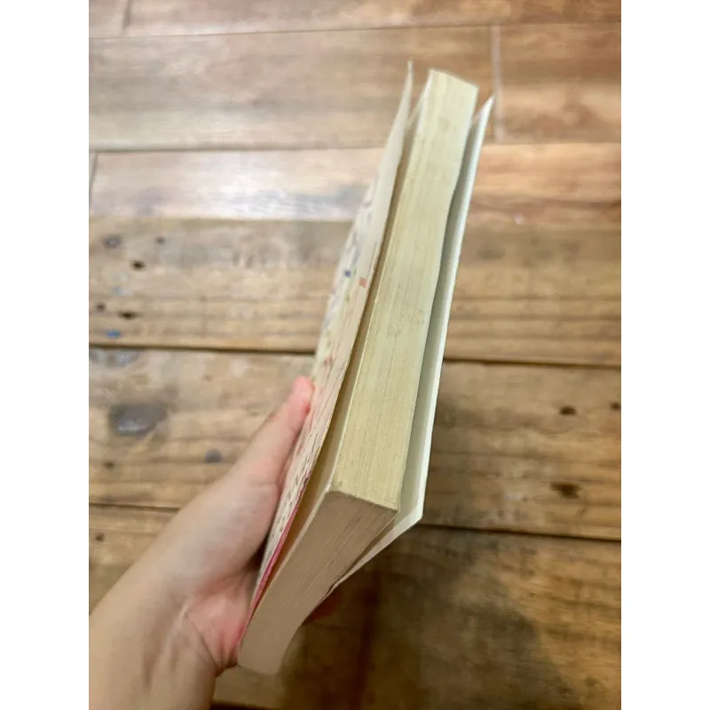 I Can Mend Your Broken Heart - Paul McKenna & Hugh Willbourn 734644