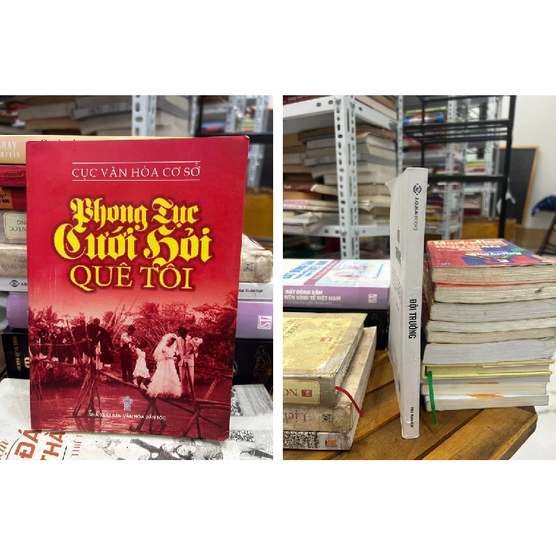 Tác Giả Mai Xuân Đạt 994161