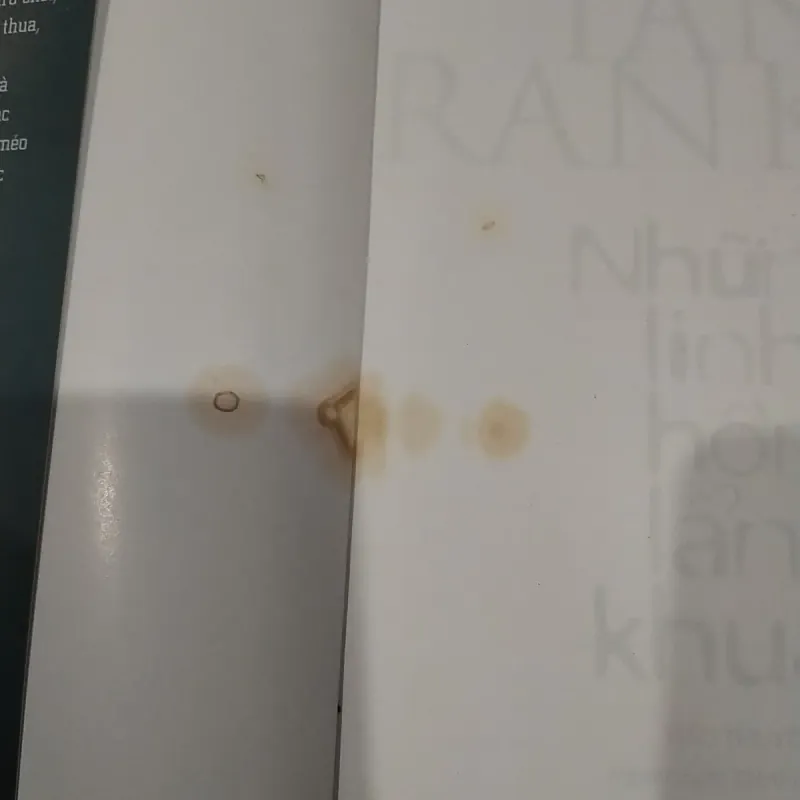 Sách Cũ - Những Linh Hồn Lẩn Khuất 1009282