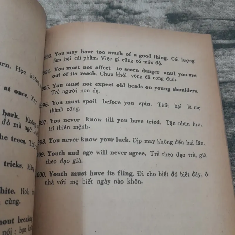 1000 câu tục ngữ Anh Việt thông dụng. T giả Lê Đình Bích. ĐH Cần Thơ 1986 732653