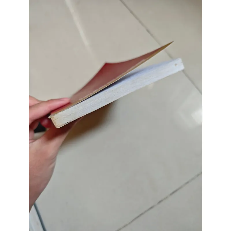 Trung quốc trước đại hội 19 - Nhận diện lãnh đạo thế hệ thứ 6 1001079