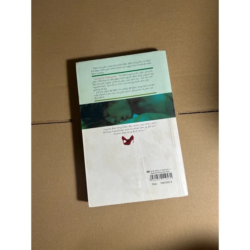 Quan hệ không hợp pháp 733443