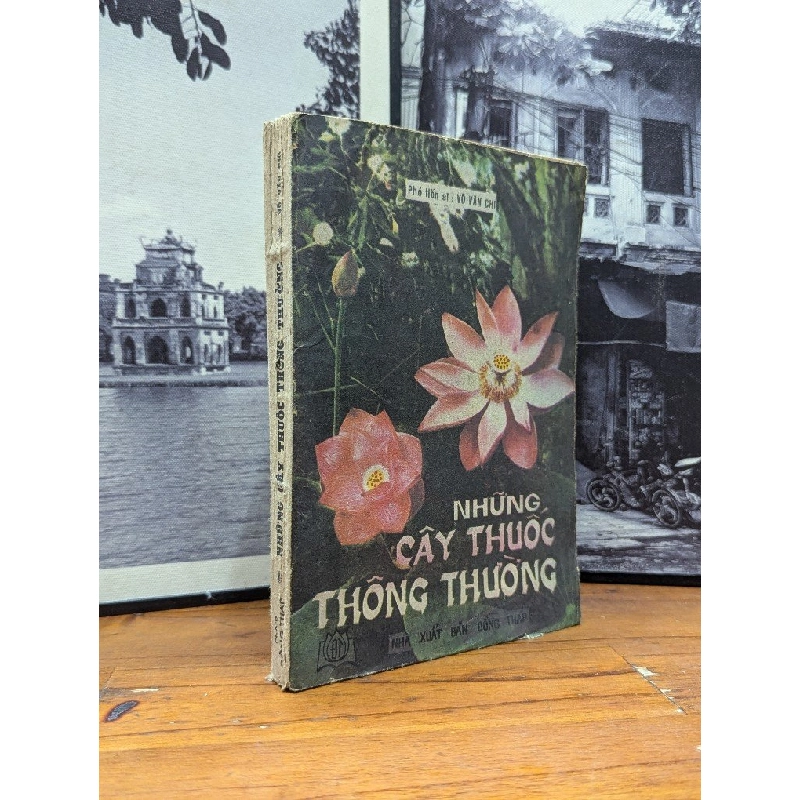 NHỮNG CÂY THUỐC THÔNG THƯỜNG - VÕ VĂN CHI 165499