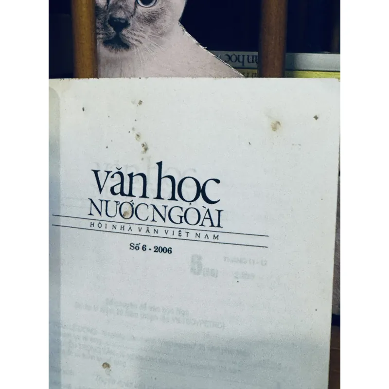 Văn học Nước Ngoài Số 6-2006 605271
