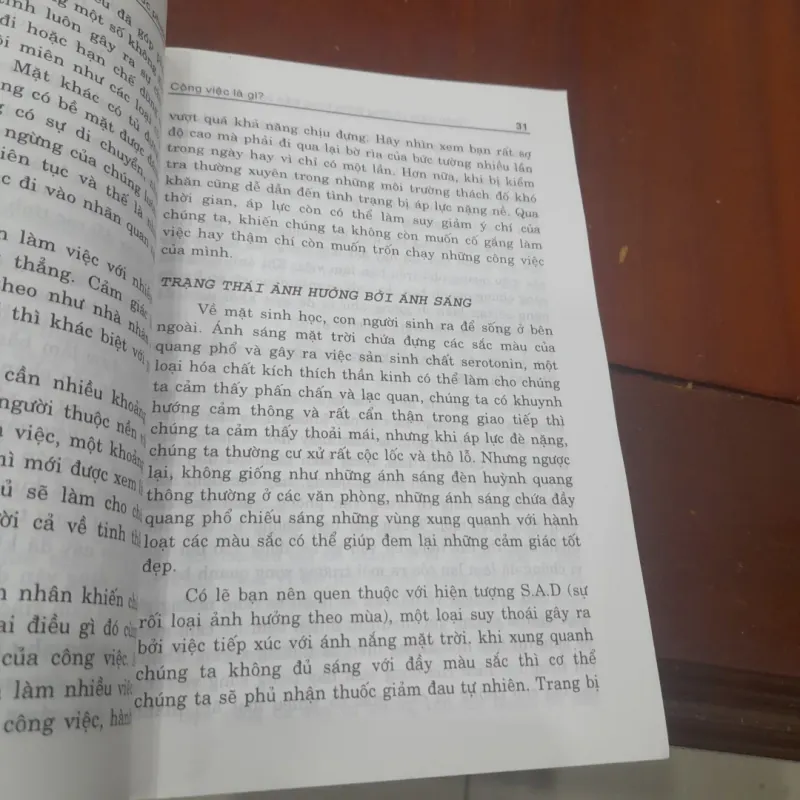 Rosalyn Dexter - ỨNG DỤNG PHONG THỦY trong cách bài trí Phòng Làm việc 995882