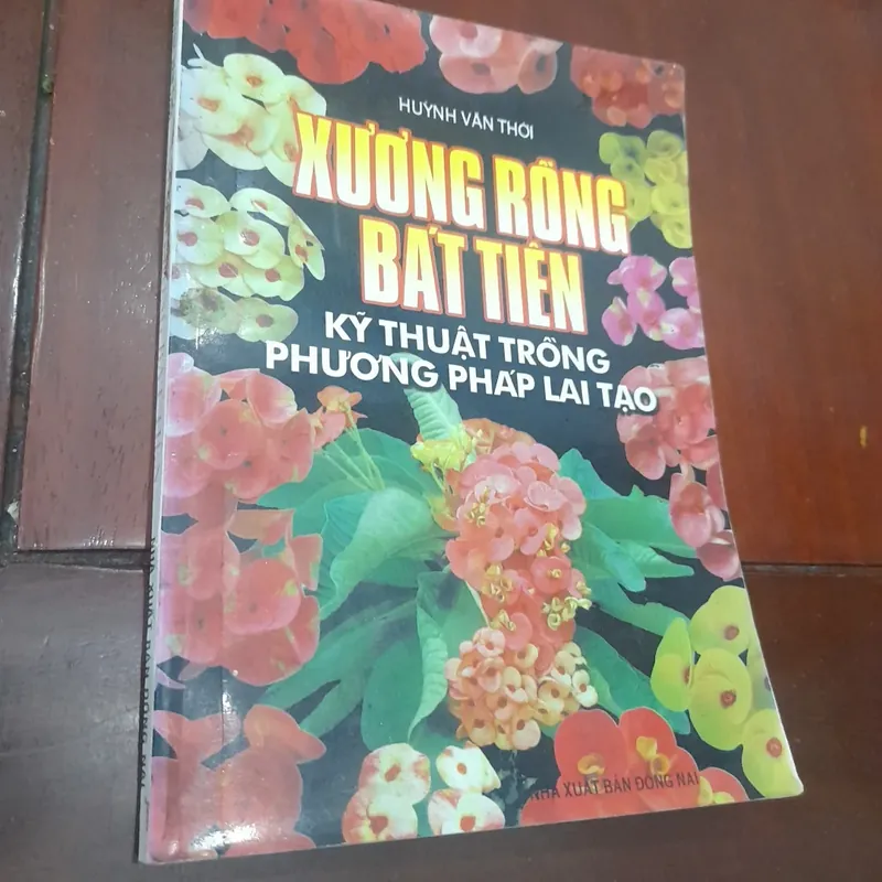Huỳnh Văn Thới - XƯƠNG RỒNG BÁT TIÊN, kỹ thuật trồng, phương pháp lai tạo 737665