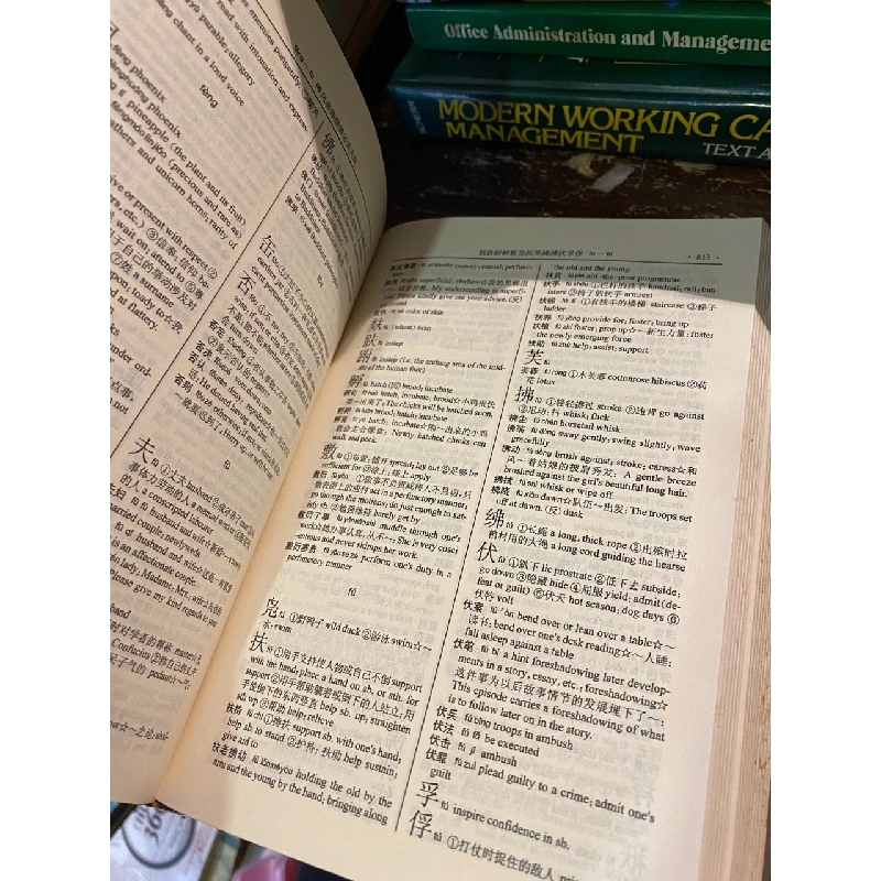 English-Chinese, Chinese-English Dictionary 1010132