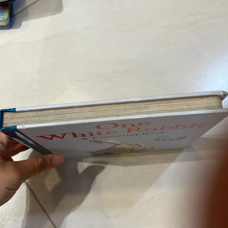 NGOẠI VĂN trẻ em : one white rabbit a countjng book - the macmillan uk  1027534