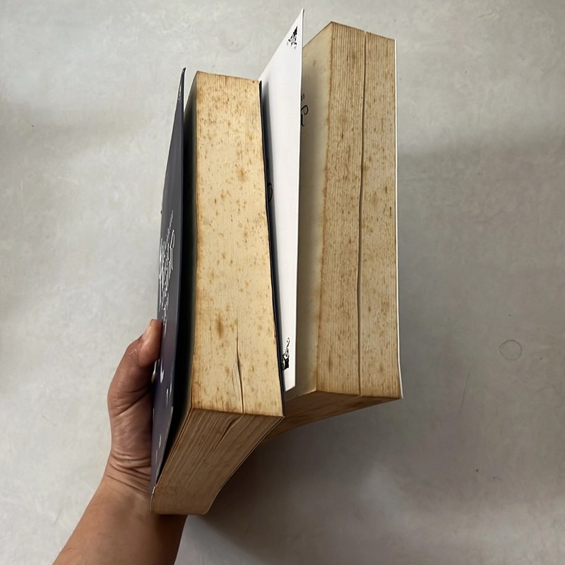 Hãy nhắm mắt khi anh đến (Trọn bộ 2 tập) — Đinh Mặc 525971