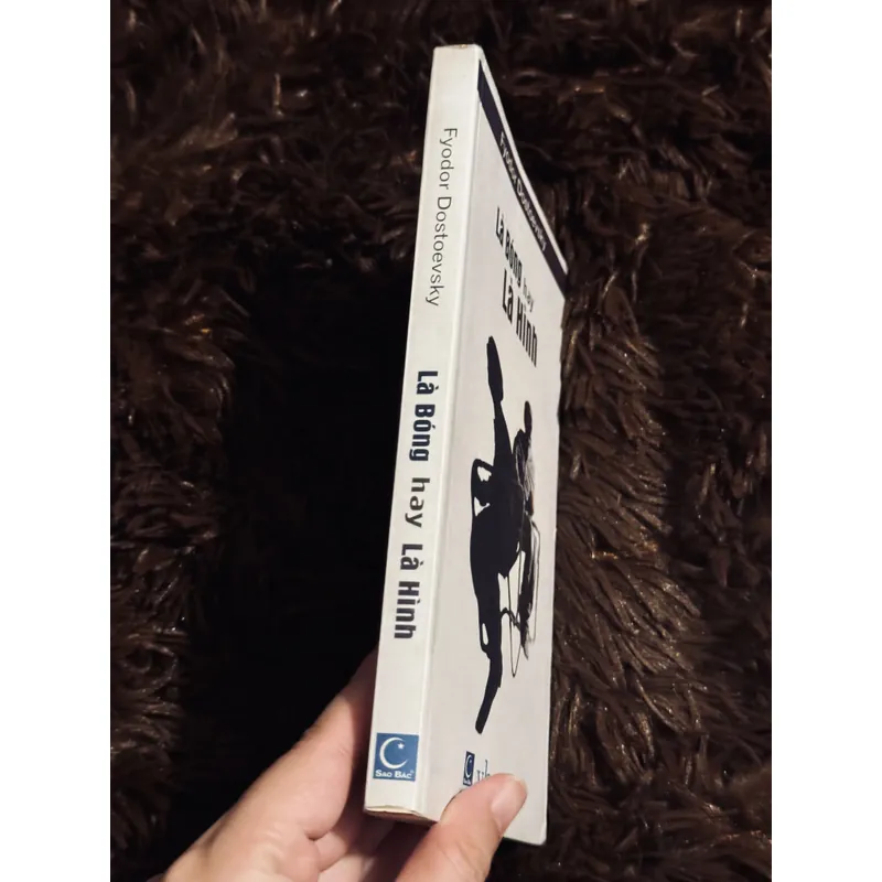 Là bóng hay là hình 738158