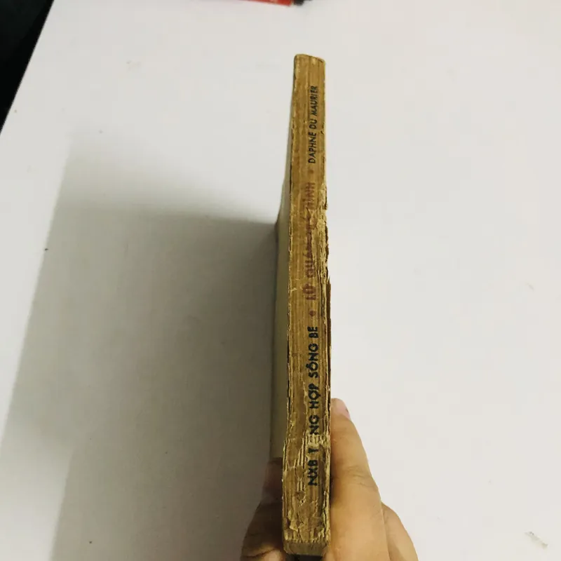 LỮ QUÁN TRÁ HÌNH  568223