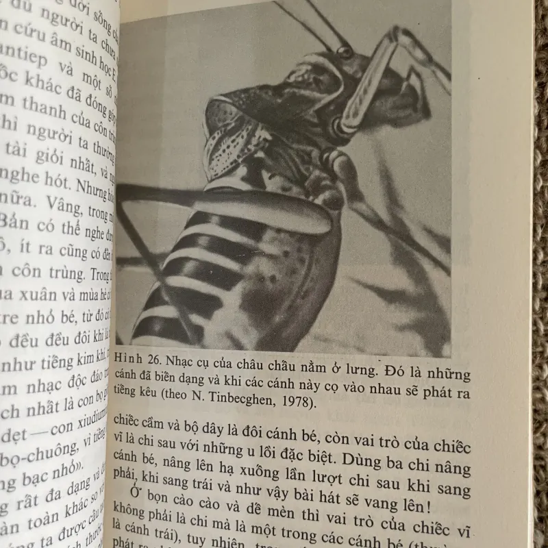 Âm sinh học lý thú- dịch từ tiếng Nga  1026243