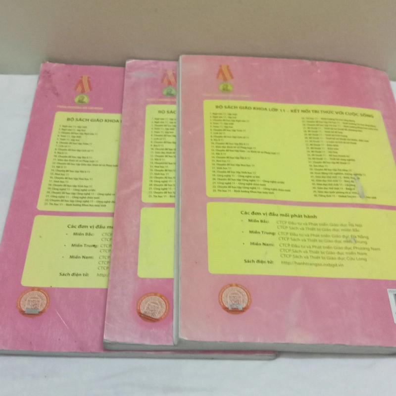 SGK Giáo Dục Kinh Tế Và Pháp Luật Lớp 11-KẾT NỐI TRI THỨC   551822