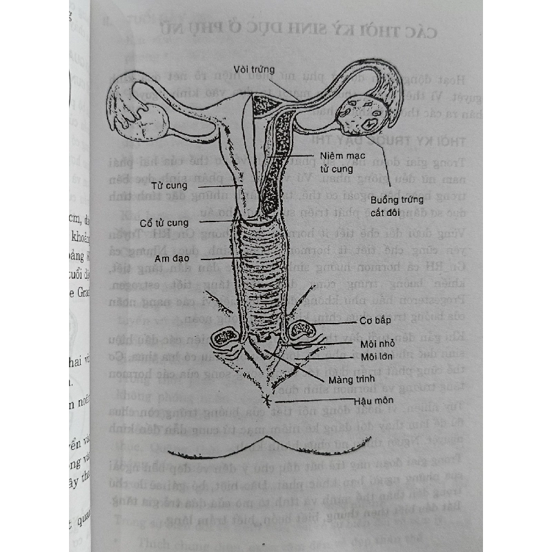 Chăm sóc phụ nữ - BS. Thế Ân 1020630