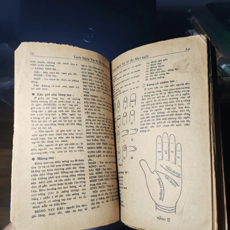 Lịch Tử Vi - Ất Mẹo 1975 1046046