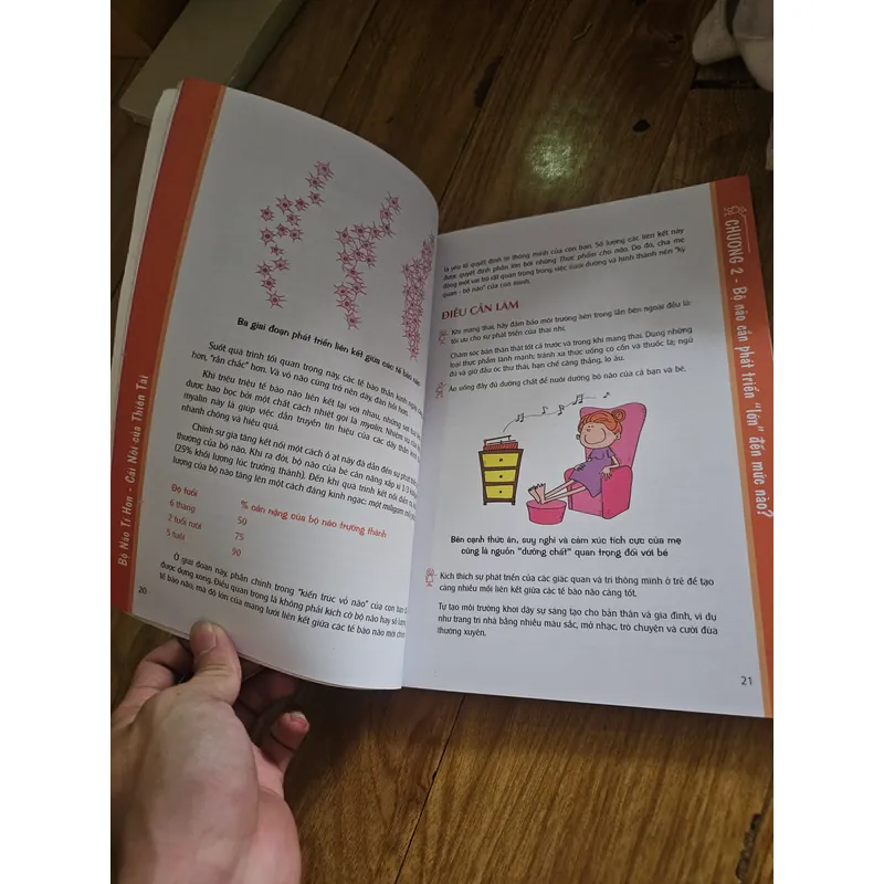 Bộ não tí hon - Cái nôi của thiên tài tập 1
 740124