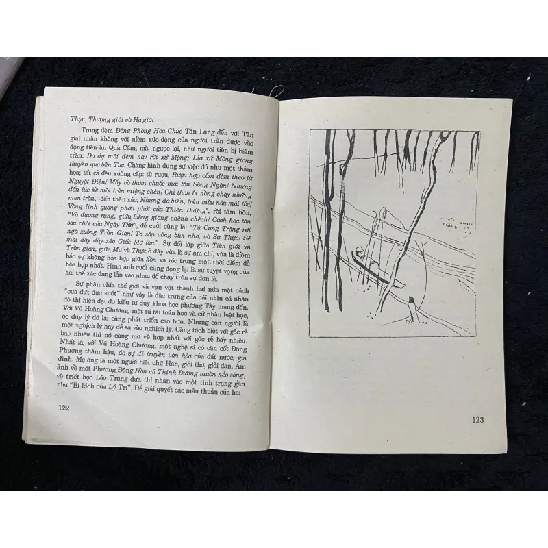 Con mắt thơ- Đỗ Lại Thúy 1009688