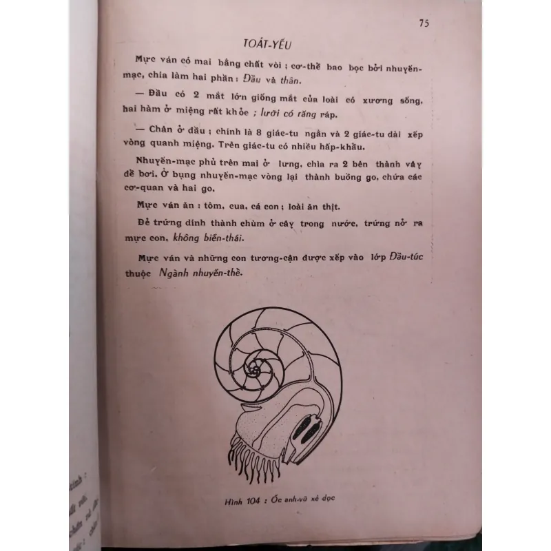 VẠN VẬT HỌC - NGUYỄN LẬP THỎA, LÊ DUY NGHIỆP 997629