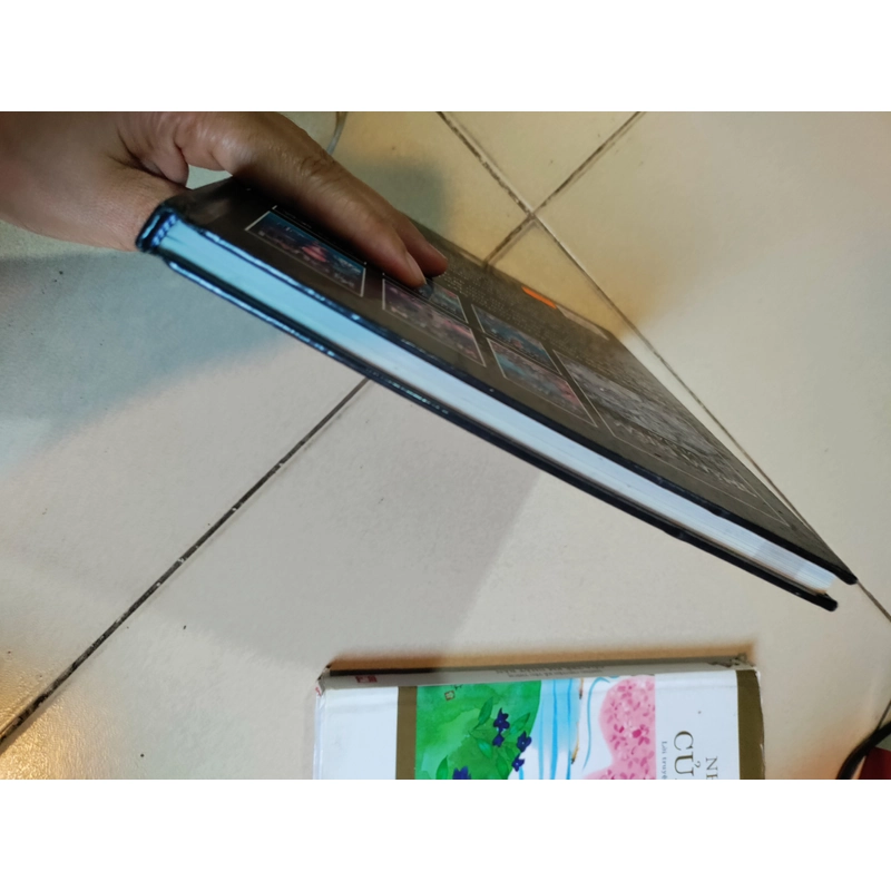 Những cuộc thám hiểm vĩ đại 479002