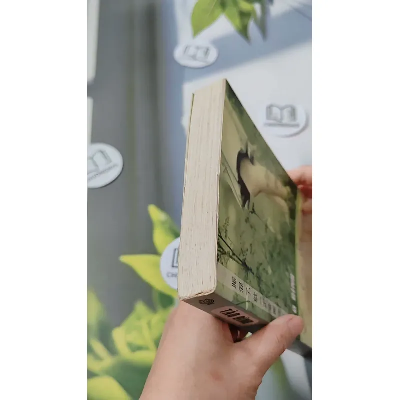 Có Duyên Nhất Định Sẽ Có Phận - Tào Đình 744694