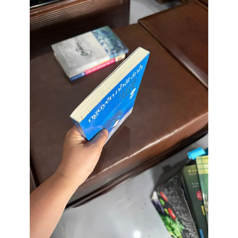 Mắt Biếc – Nguyễn Nhật Ánh- K5 1044362